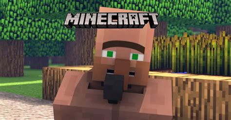 villagers despawning|why do villagers despawn.